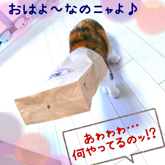 c0237608_12504853.jpg
