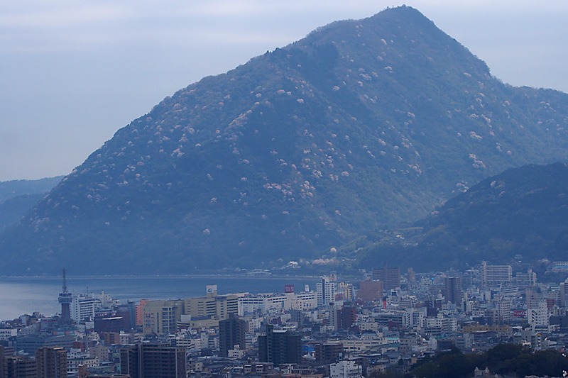 d0036708_1715090.jpg