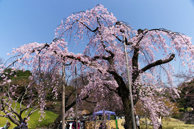 a0263109_10473281.jpg