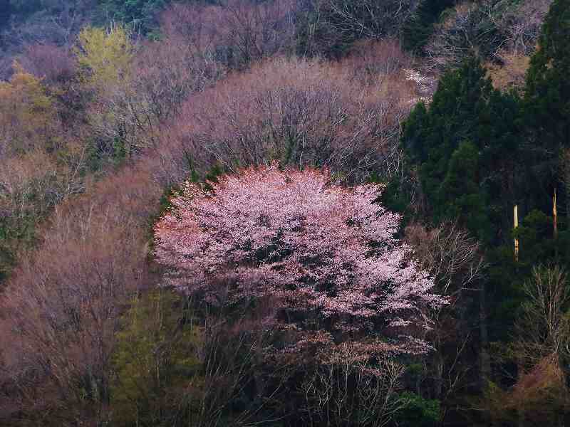 f0182513_011349.jpg