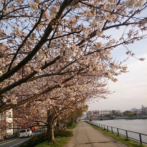 c0062315_1951387.jpg