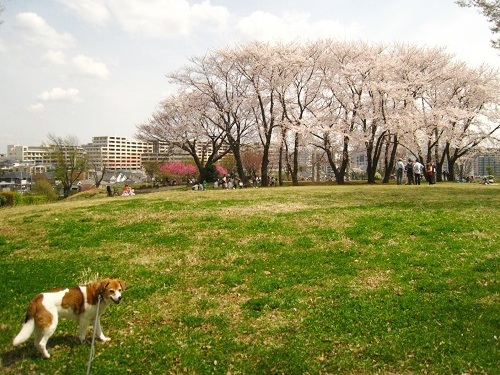 c0084117_1822887.jpg