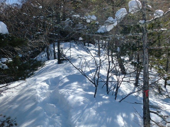 c0210618_0152864.jpg