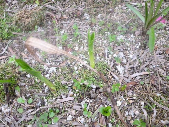 f0228619_1916979.jpg