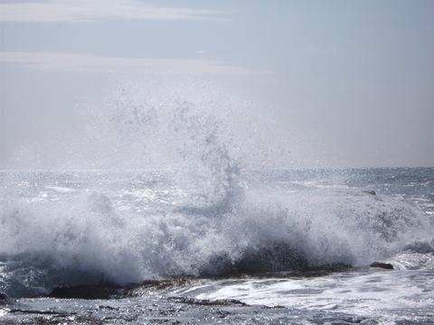 a0279321_1018244.jpg