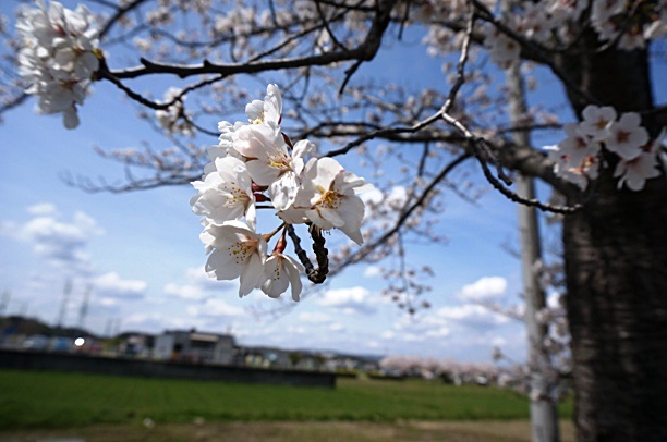 b0068423_2205533.jpg