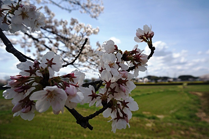 b0068423_22254845.jpg