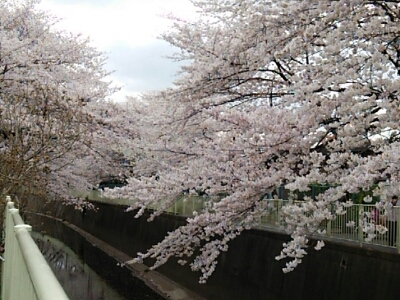 f0106823_8533269.jpg