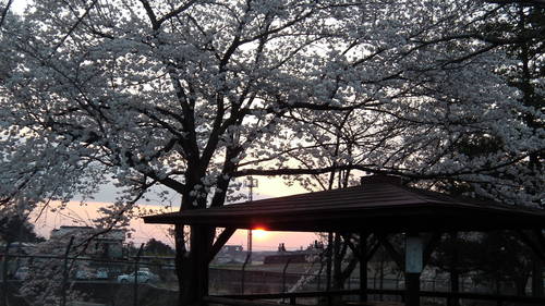 c0155326_655158.jpg