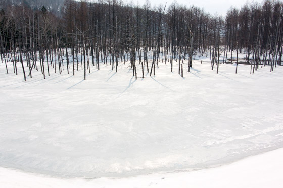 e0025030_9342821.jpg