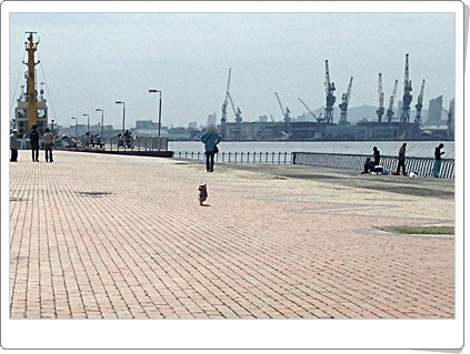 d0017632_035189.jpg