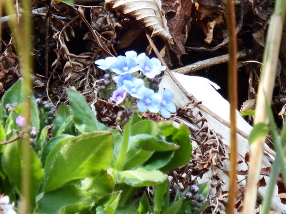f0118332_0345285.jpg