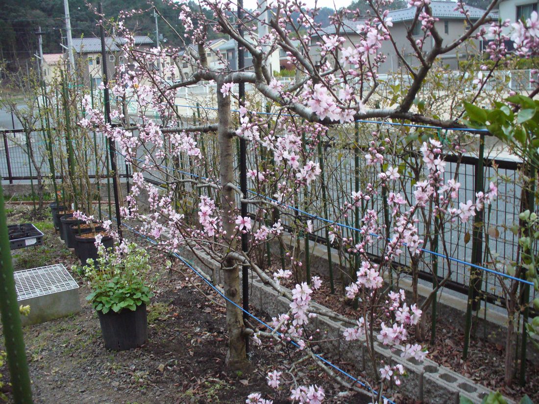 f0275632_2240514.jpg