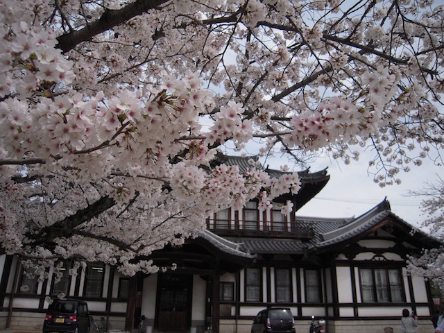 b0025633_21174083.jpg