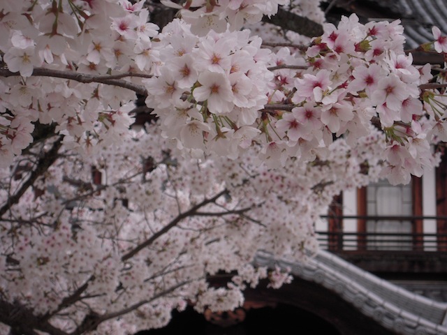 b0025633_21174666.jpg