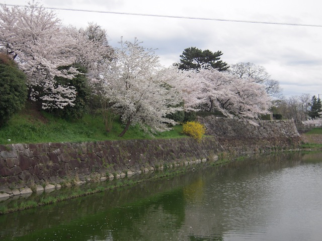 b0025633_21175218.jpg