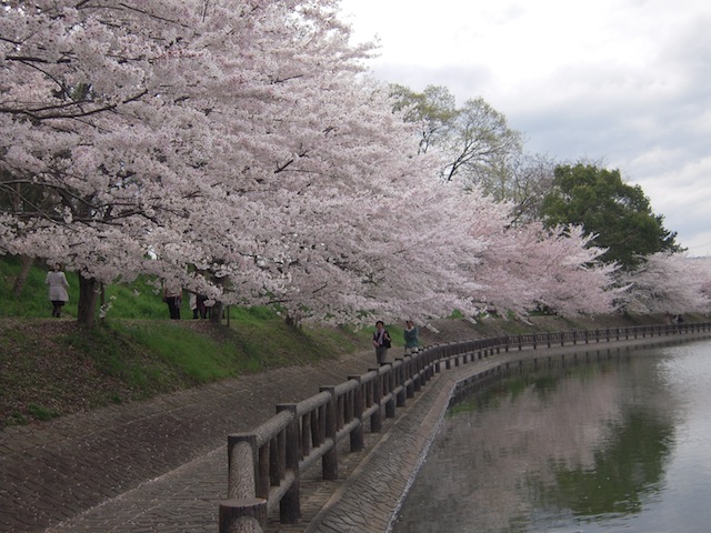 b0025633_21175876.jpg