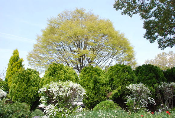 f0247039_17131788.jpg