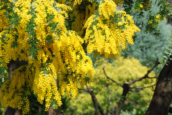 f0247039_17153865.jpg