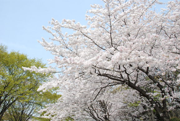 f0247039_17173427.jpg