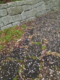 e0067640_16181994.jpg