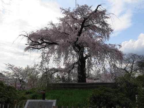 c0292342_09054799.jpg