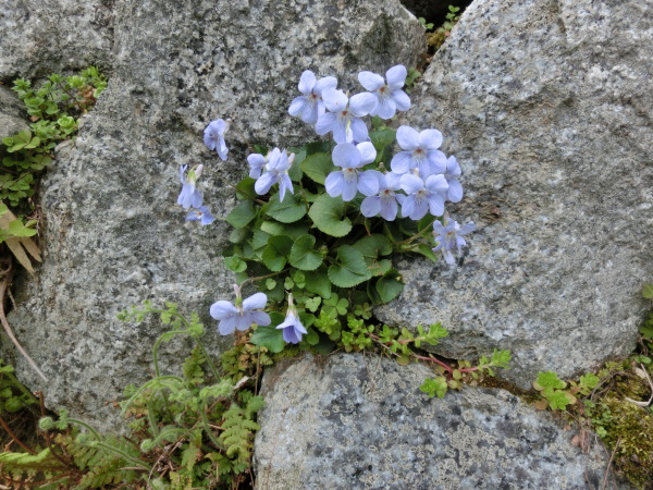b0132746_19191314.jpg