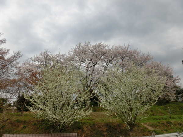 b0132746_19422671.jpg