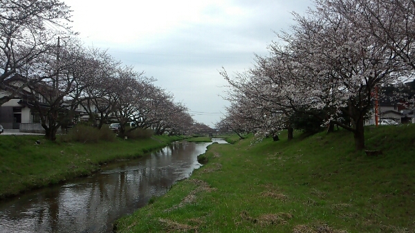 c0235348_2323546.jpg