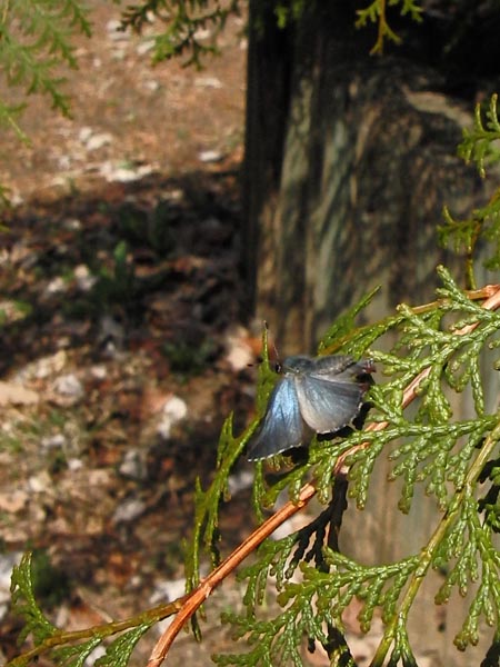 c0045352_1920547.jpg