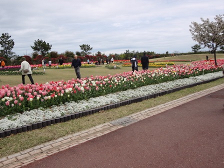 f0046854_232656.jpg