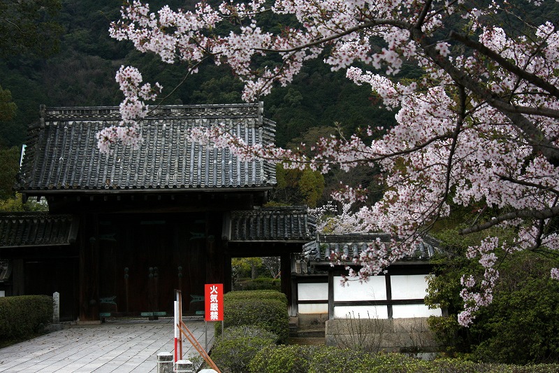 d0244960_157087.jpg