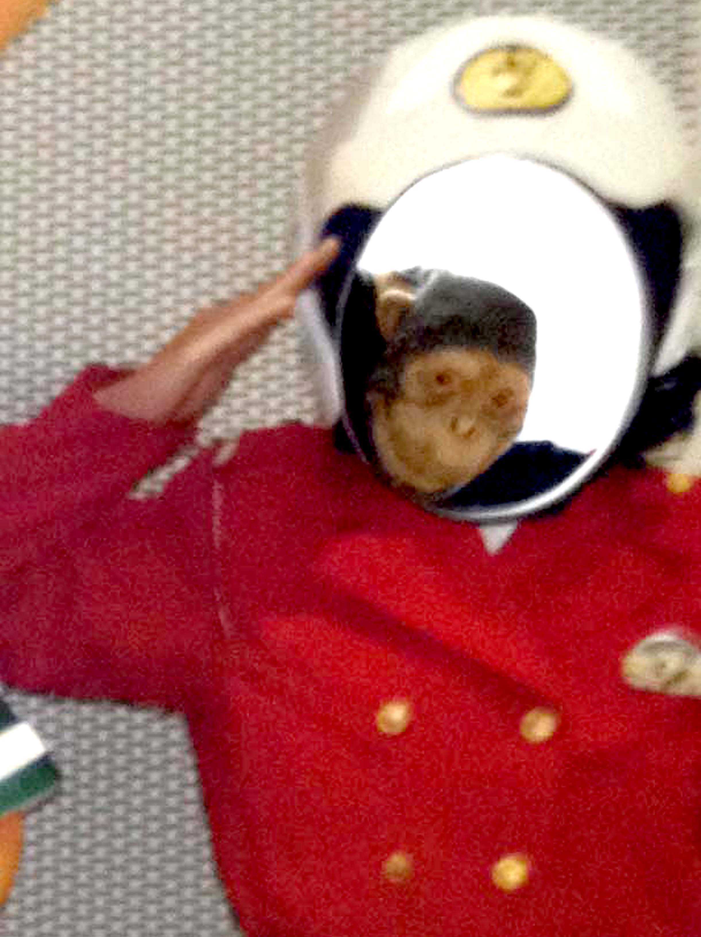 c0198263_11401943.jpg