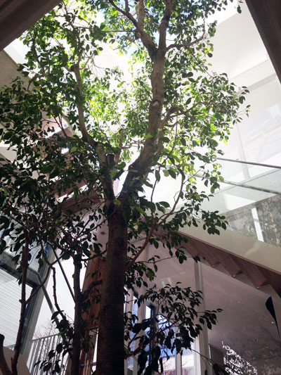 c0166866_10564717.jpg