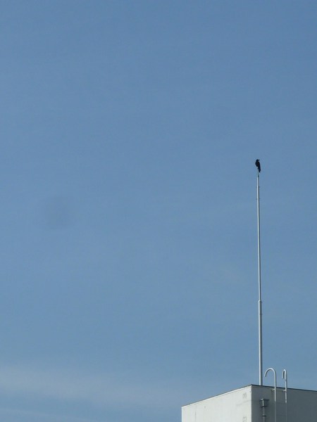 b0326576_21471537.jpg