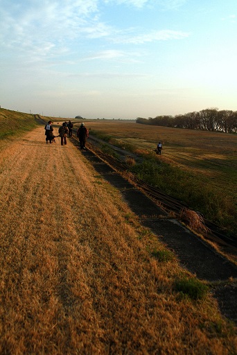 e0100584_1103982.jpg
