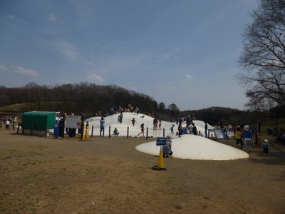 a0257385_7352714.jpg