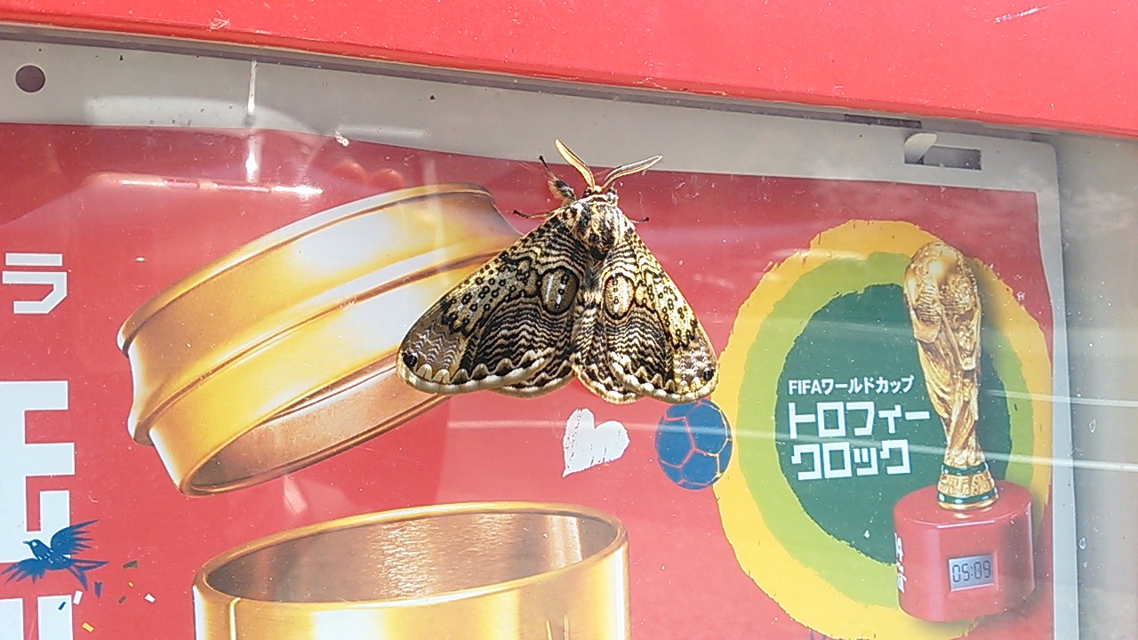 b0125397_12185556.jpg