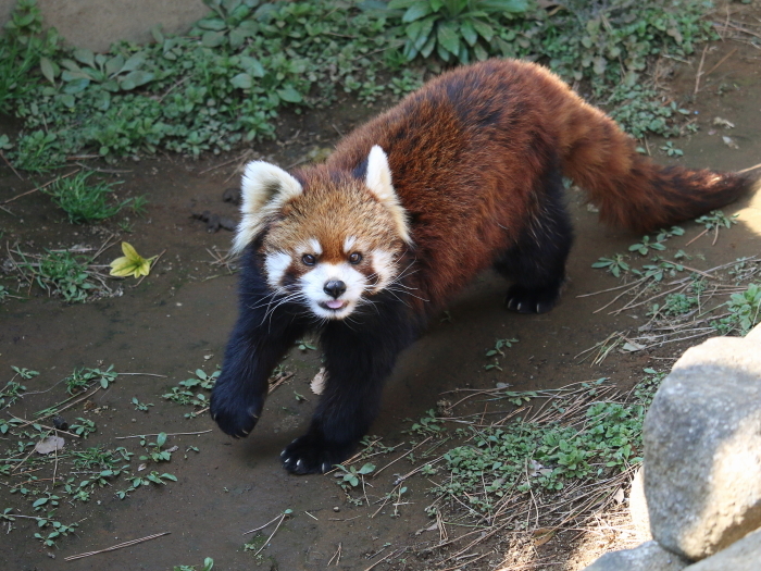 a0306502_23485025.jpg