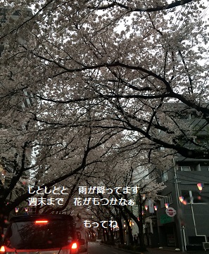 a0134004_110736.jpg