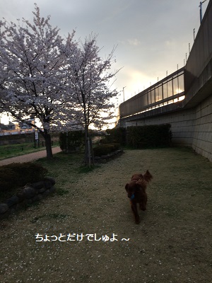 a0134004_23191540.jpg