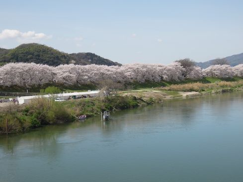 c0149408_21375726.jpg