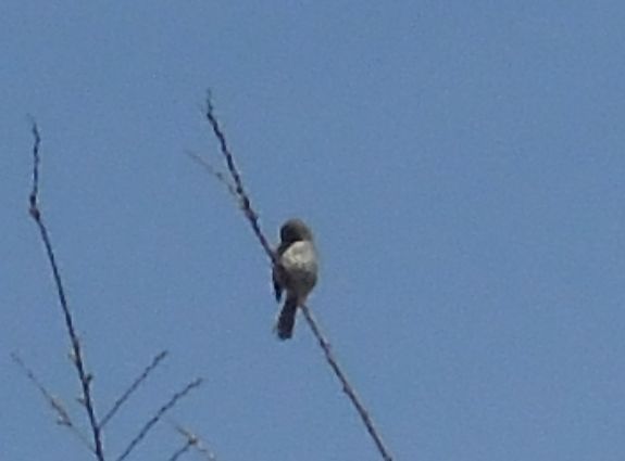 c0149408_21402951.jpg