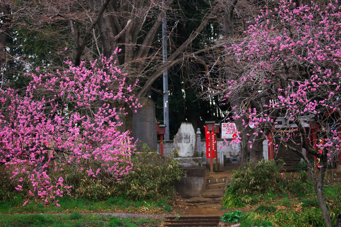 a0263109_19271216.jpg