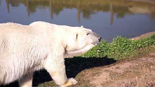 a0151913_1004615.jpg