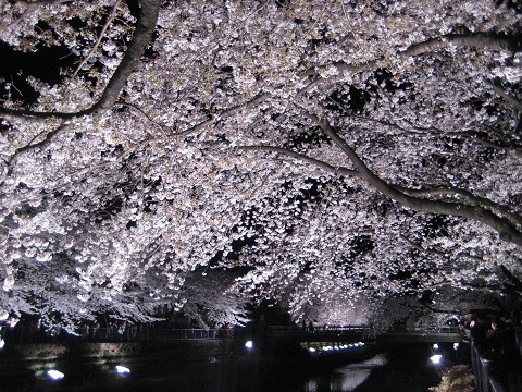 b0309813_23203421.jpg