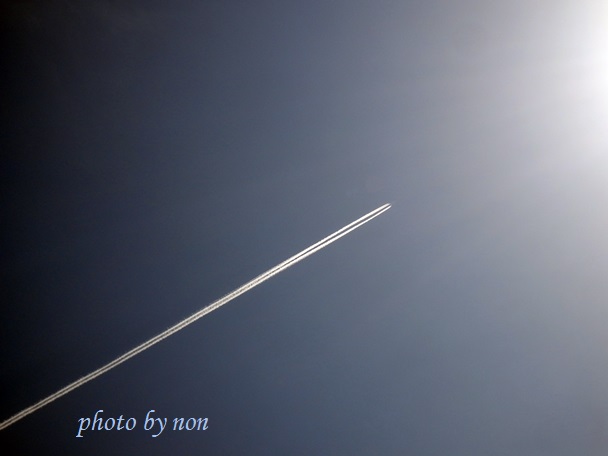 b0289815_1753836.jpg