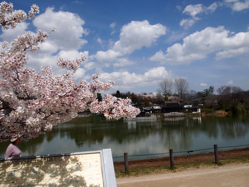 e0316720_11194516.jpg