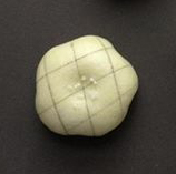 c0104821_9411866.jpg