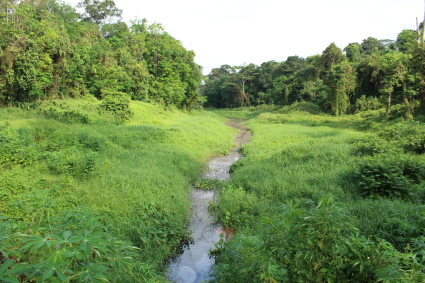 c0258123_17280822.jpg